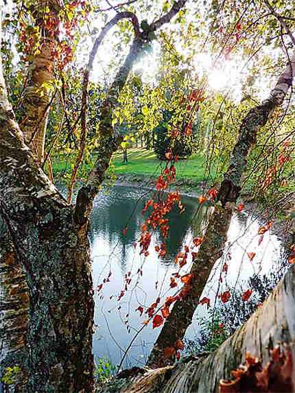 Lac St Fortunat en automne