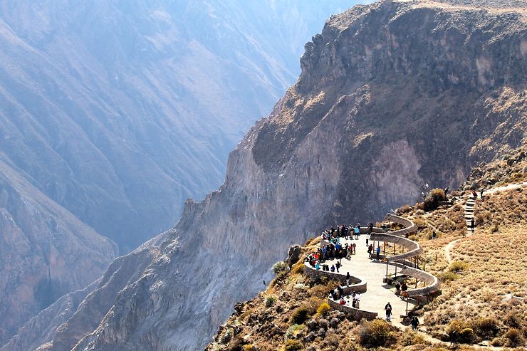 Le Canyon de Colca et les Andes - Pérou