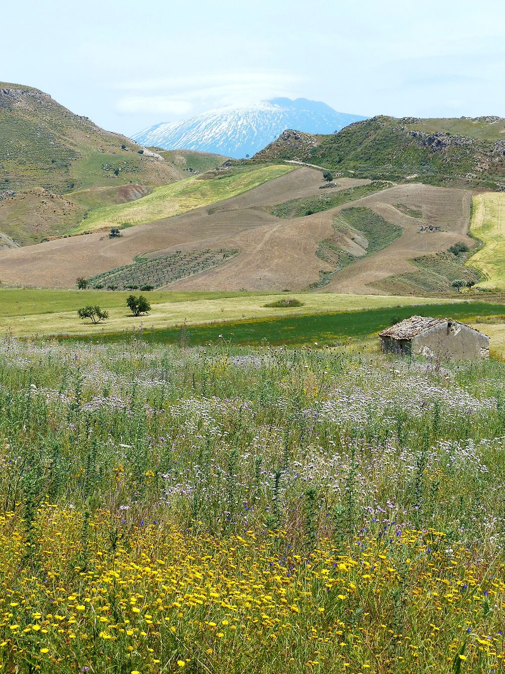 Campagne du côté de Catenanuova