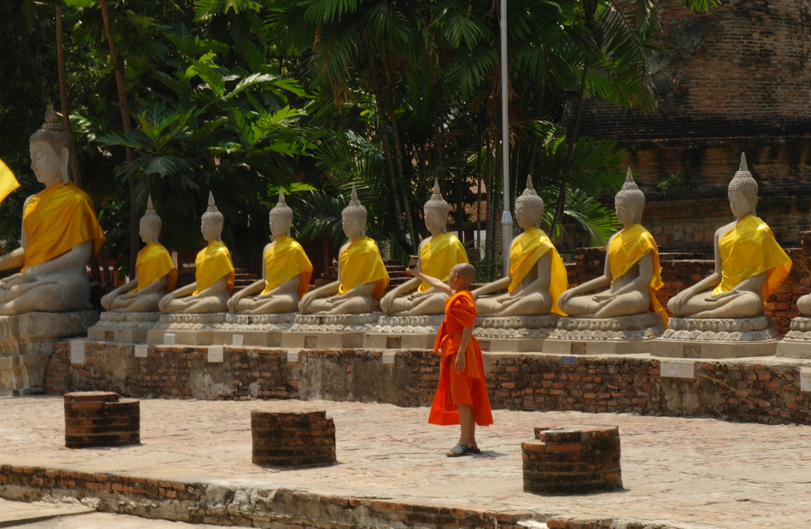 Le selfie du petit moine parmi les bouddha Le selfie du petit moine parmi les bouddha