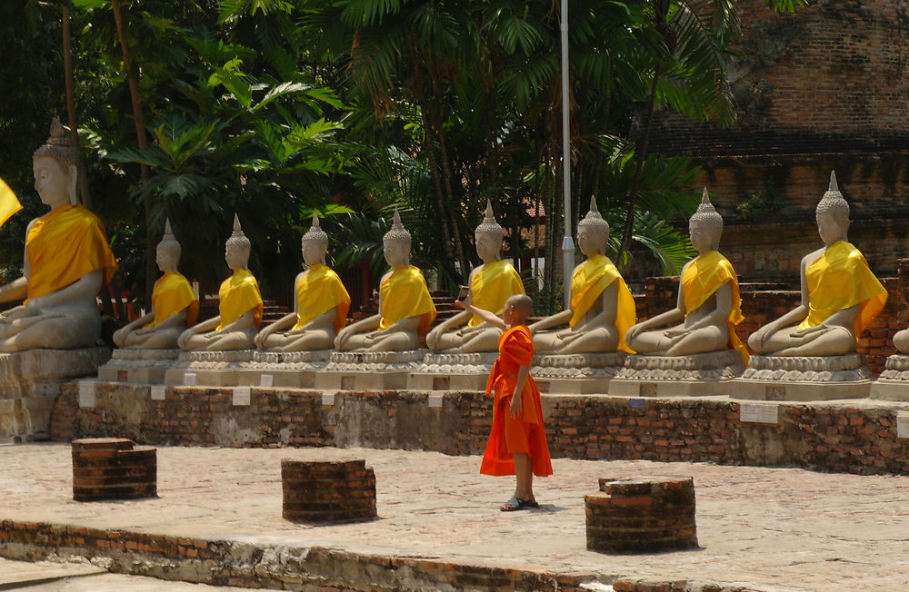 Le selfie du petit moine parmi les bouddha