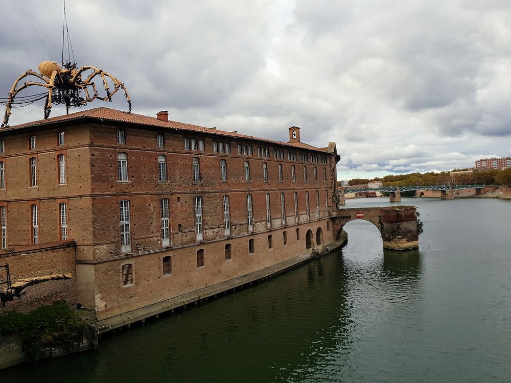 Ariane l'araignée sur l'hôpital La Grave, Toulouse