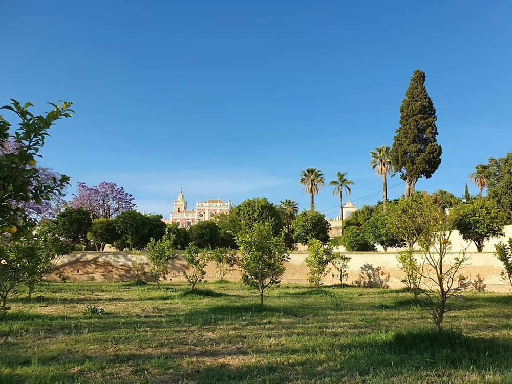 Jardins du Palais d'Estoi