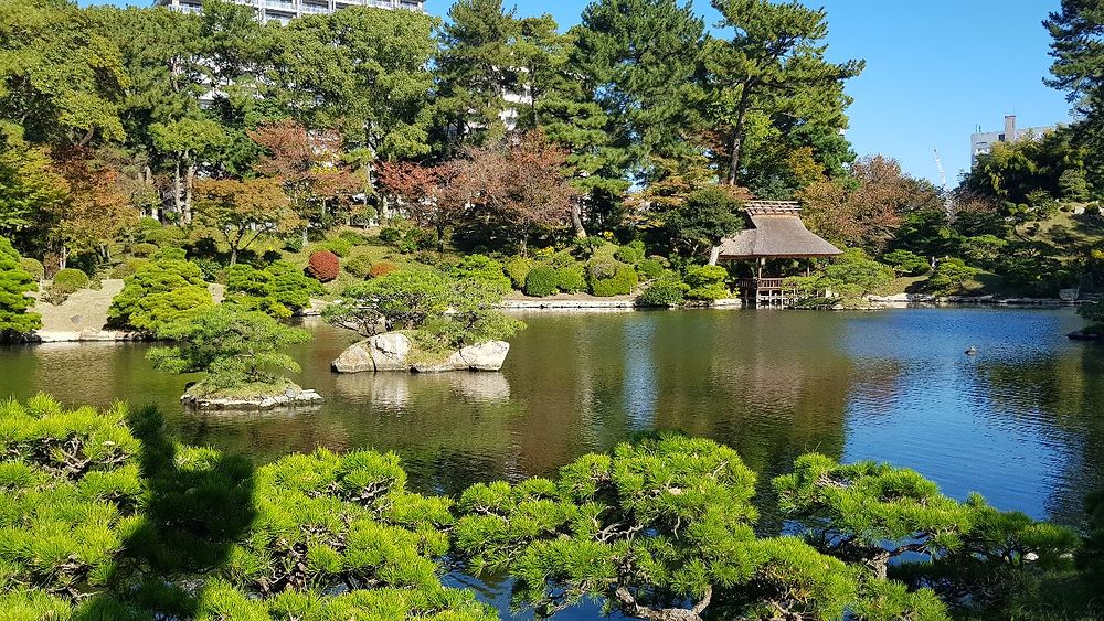 Maison de thé au jardin Shukkei-en