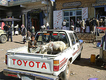Pick-up dans le village d'Al Rigim