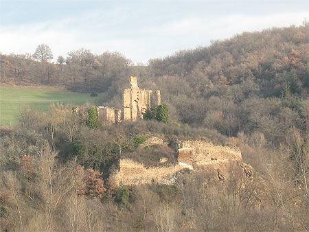 Le château Cocu