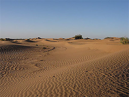 Coucher de soleil dans les dunes