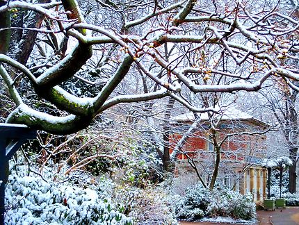 Jardin du Luxembourg en hiver
