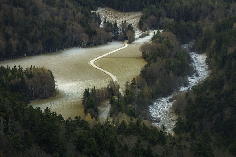 Au milieu traverse une route