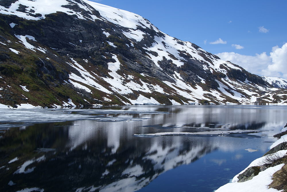 Lac en été