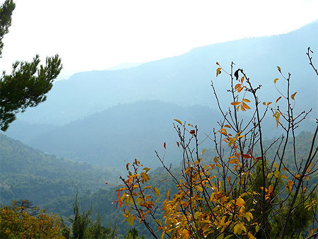 Paysage d'Automne Paysage d'Automne