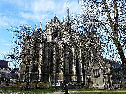 La cathédrale d'Amiens vue depuis le jardin de l'évêché