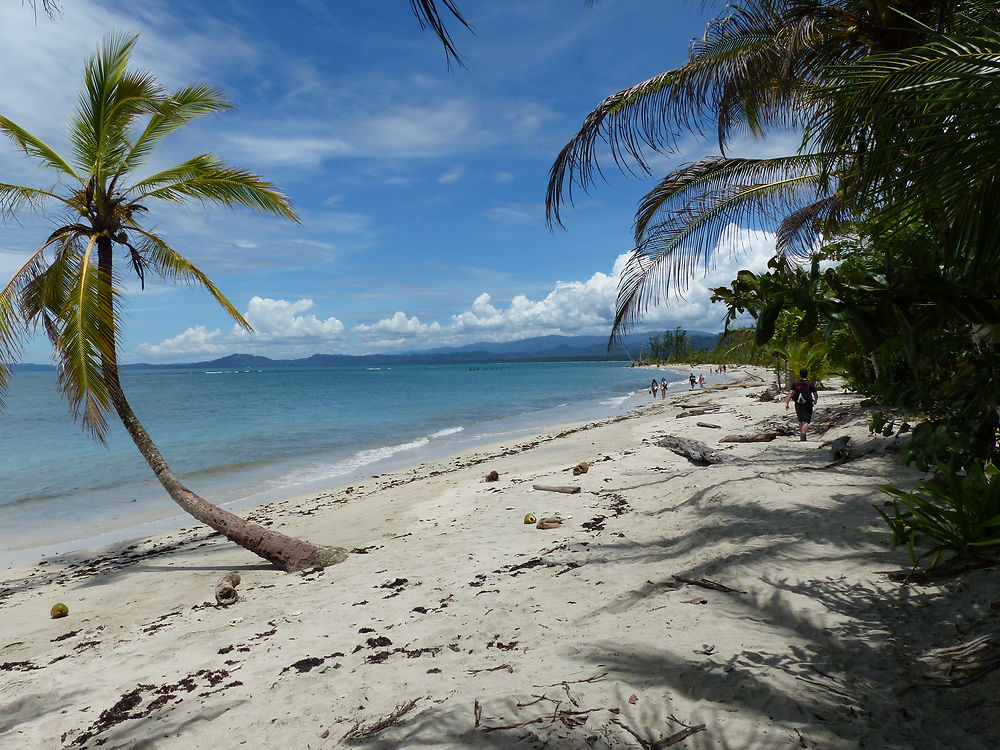 Les plus belles plages 