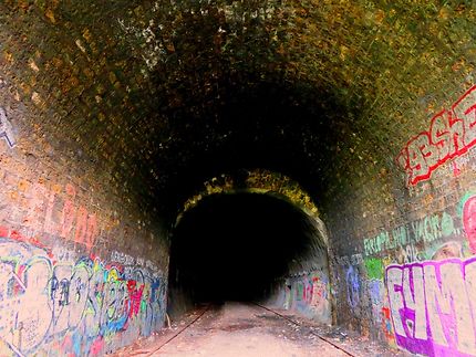 Le vieux tunnel de la petite ceinture