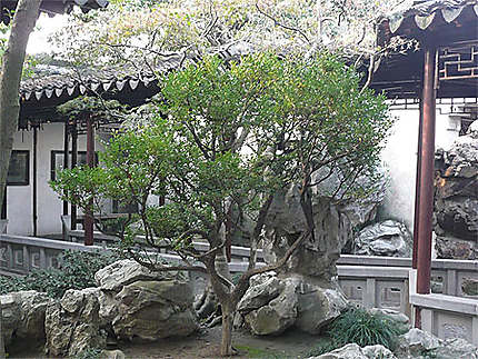 Jardin de Suzhou