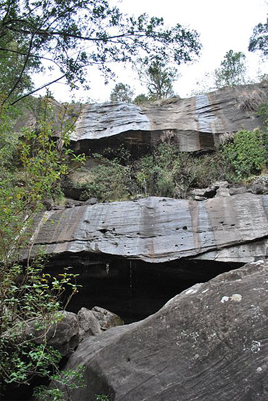 Tiger falls Tiger falls