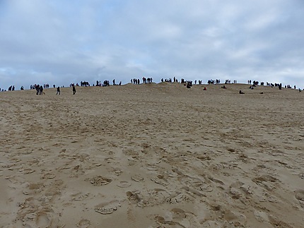 Visites sur la Dune du Pilat le 11 novembre