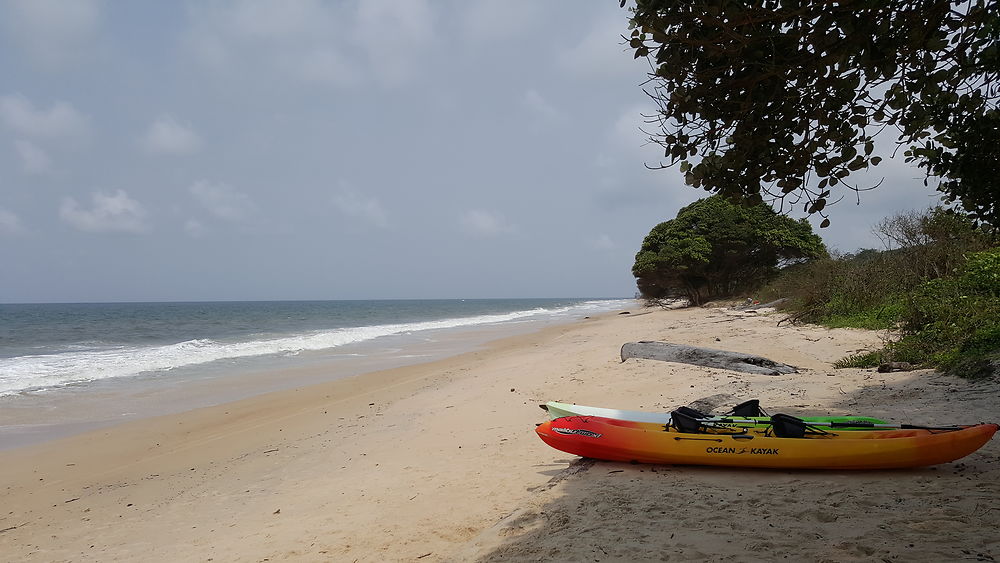 Plage dans le parc national de Pongara, Gabon