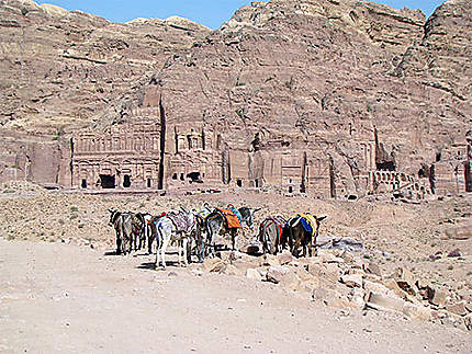 Anes devant les tombaux de Petra
