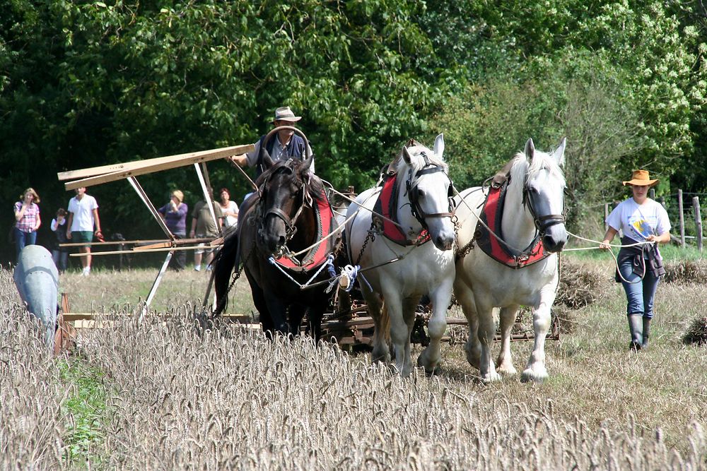 La moisson