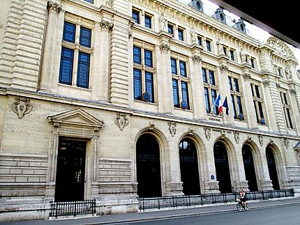 L’université Paris-Sorbonne