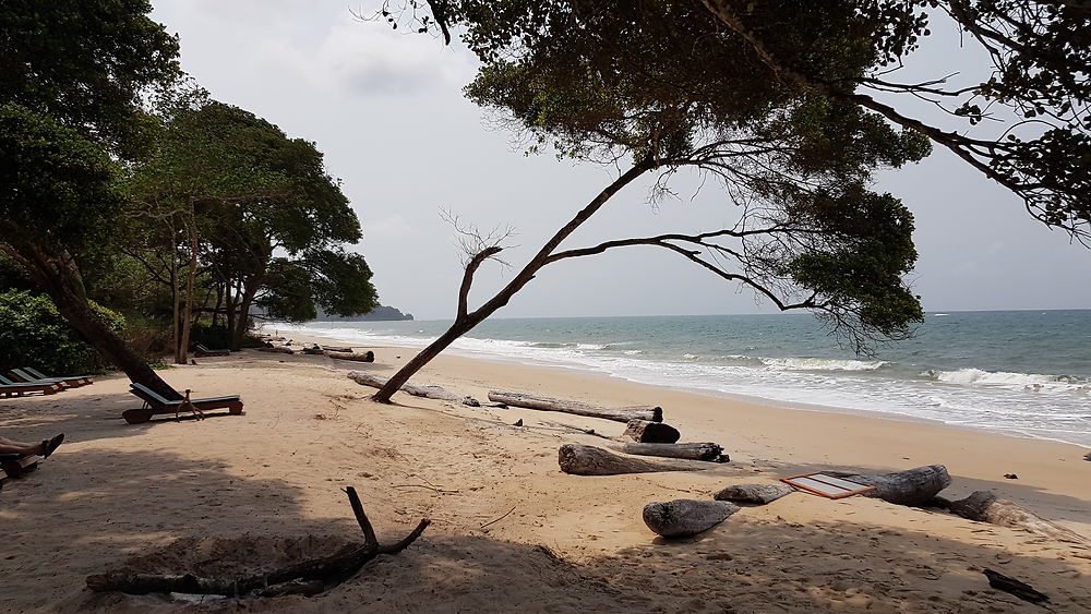 Plage du parc national de Pongara, Gabon