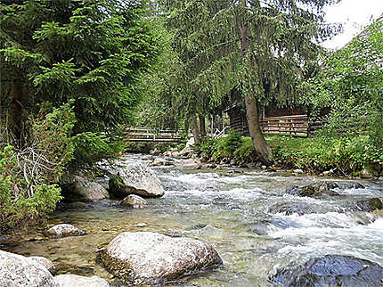 Ruisseau dans les Vel'ka Fatra