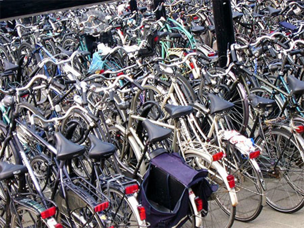 Vélos à Enkhuizen