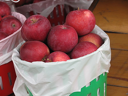 Pommes à Rougemont