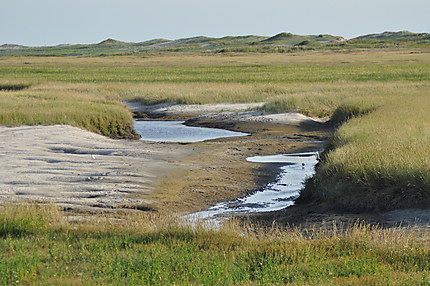 National Park Wattenmeer