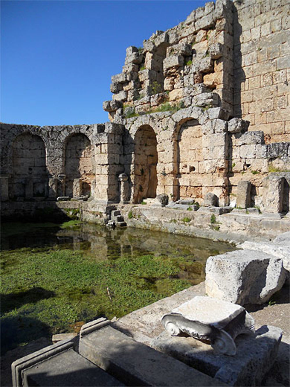 Tepidarium