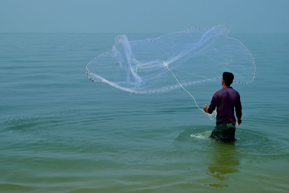 Pêche à l'épervier