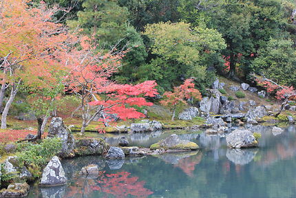 Couleurs de l'automne à Kyoto