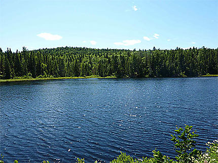 Lac à l'entrée du parc