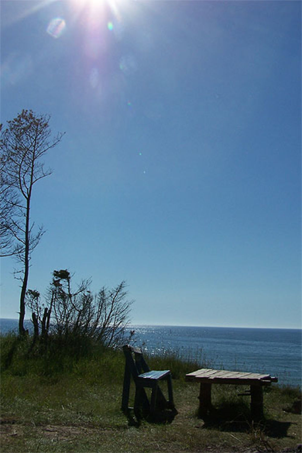 Un banc dans le foret avec un vu sur la mer Baltique