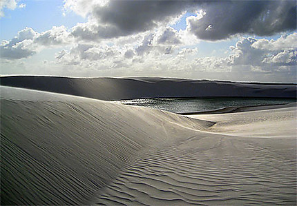 Contre jour sur les dunes