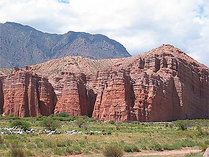Quebrada de Cafayate