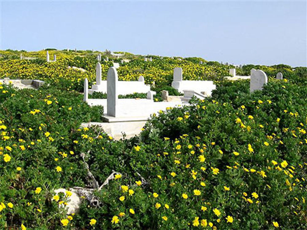 Cimetière de Mahdia