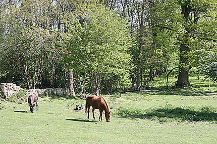 Ferme d'Ecancourt