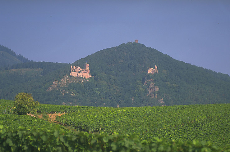 Châteaux et vignes de l’Alsace (Haut-Rhin)