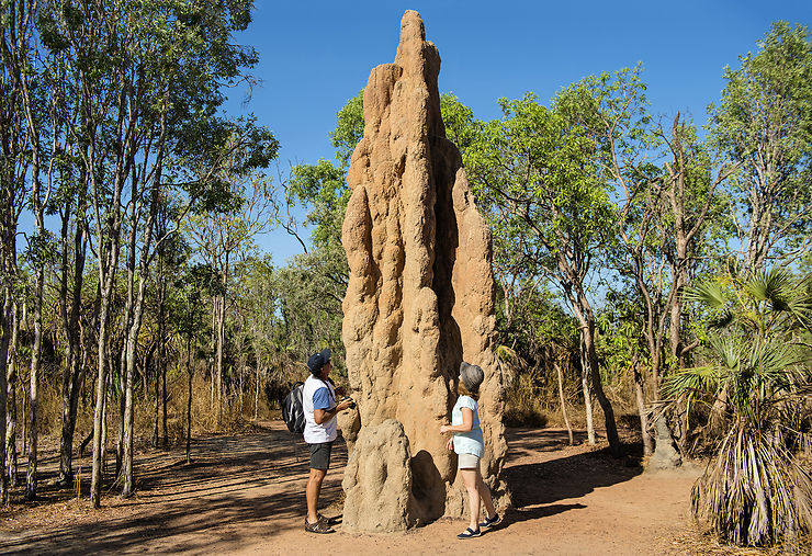 Litchfield, à l’ombre des termitières