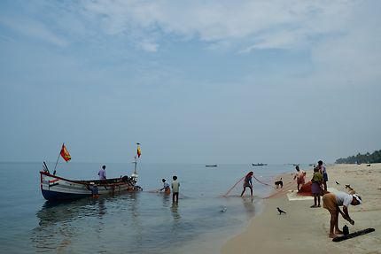 Retour de pêche au Kerala