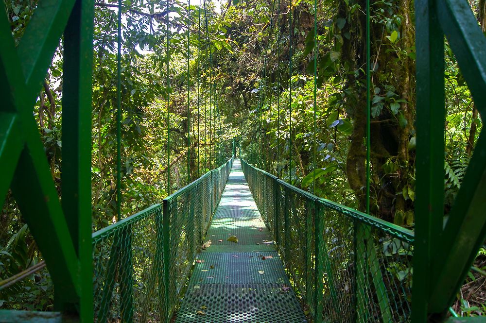 Hanging Bridge, Monteverde, Costa Rica