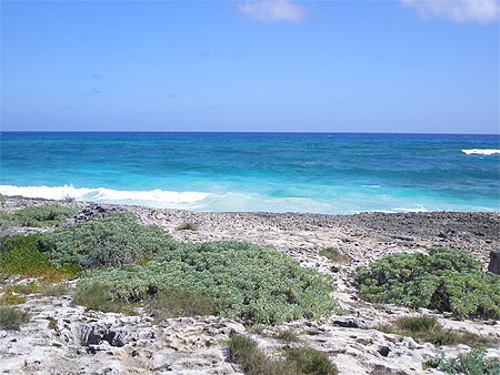 Cozumel Cozumel
