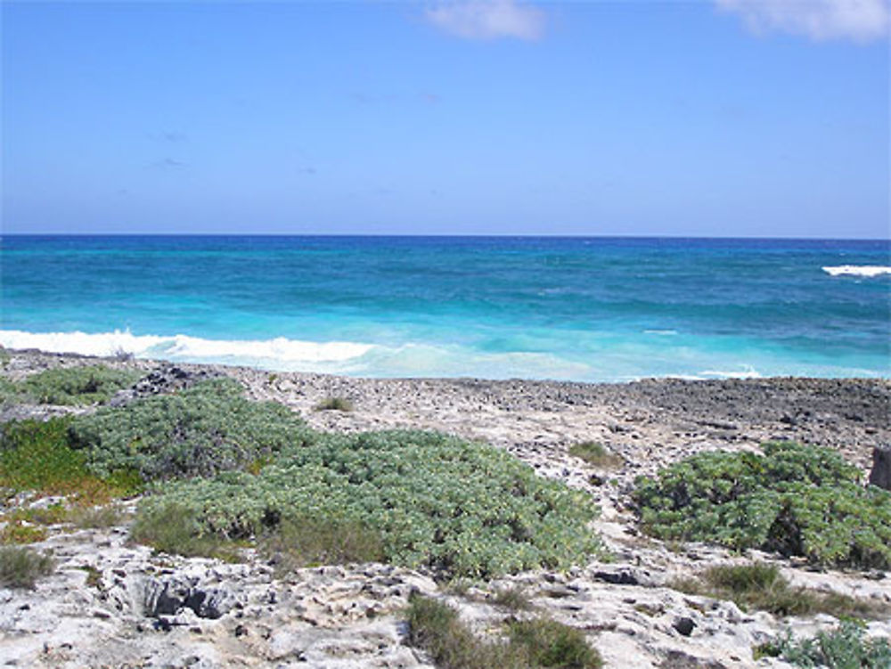 Cozumel