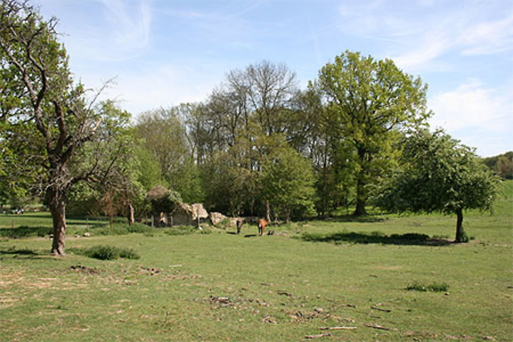 Le près de la ferme d'Ecancourt