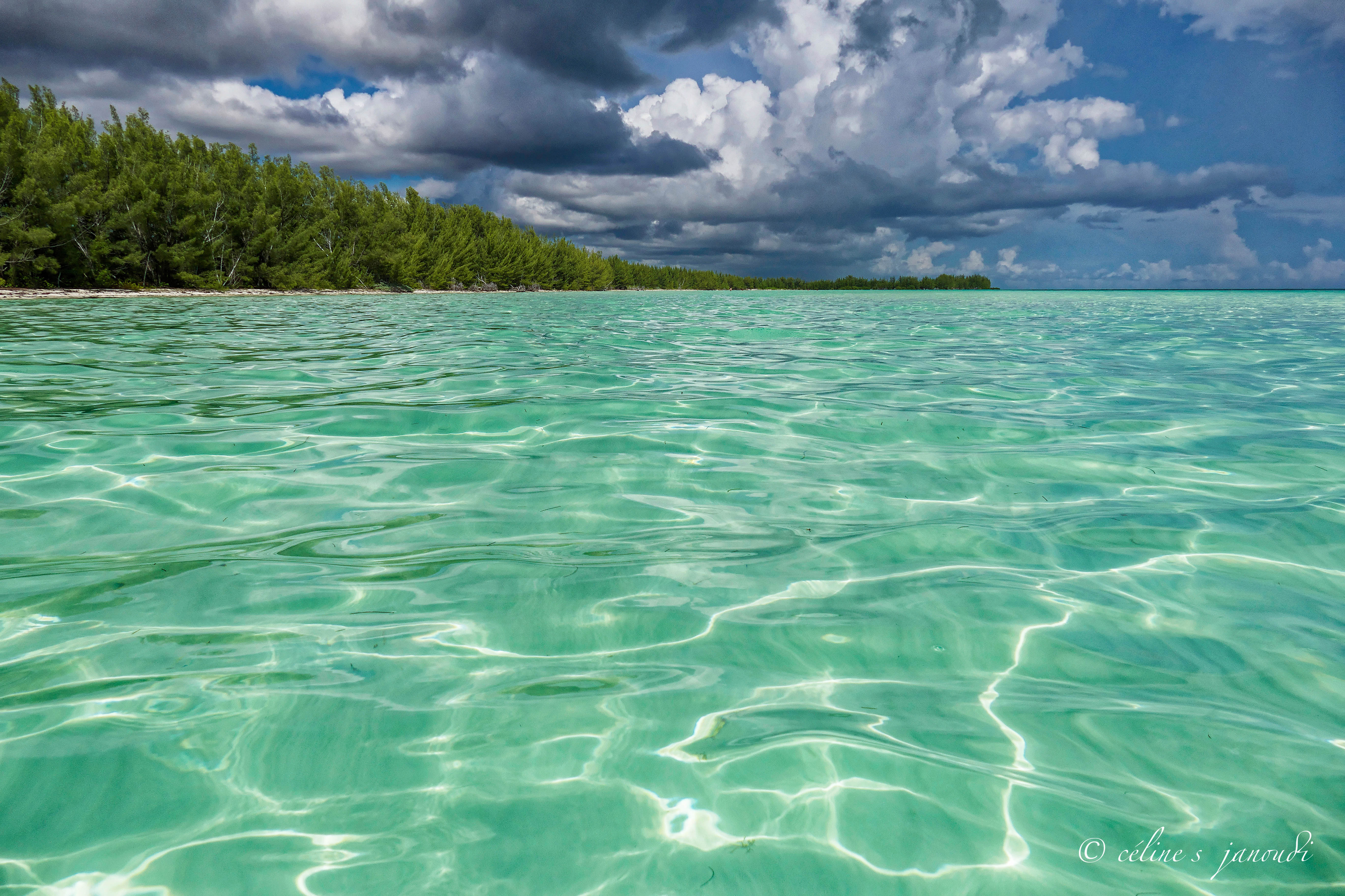 Le paradis sur terre Le paradis sur terre
