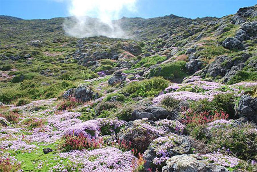 Ascension du volcan Pico