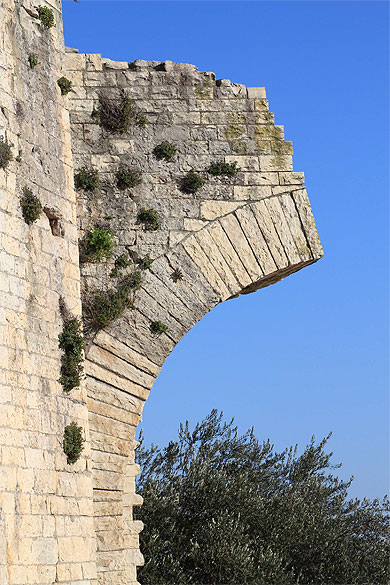 Nîmes - Tour Magne - Détail Nîmes - Tour Magne - Détail