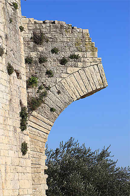 Nîmes - Tour Magne - Détail